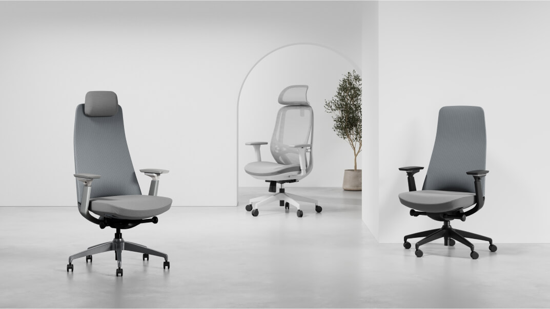 Ergonomic Chairs