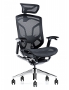 Dvary Super Ergonomic with Paddle Shift Control Executive Office Chair