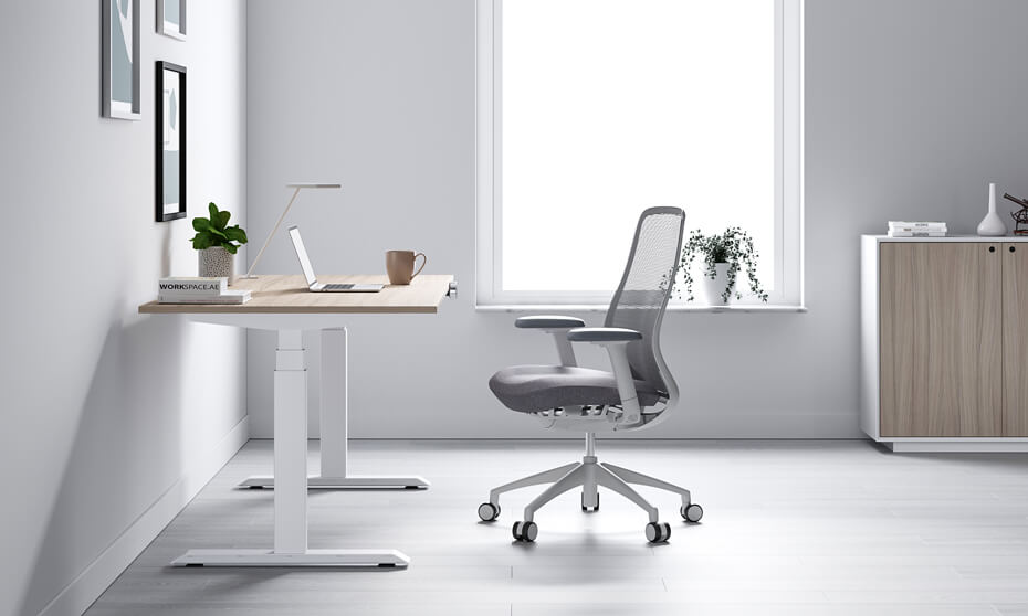 MAX Series Desk Frame