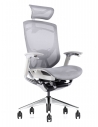 iFit Super Ergonomic with Paddle Shift Control Executive Office Chair
