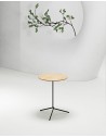 Knot Wood Veneer Minimalist Coffee Table