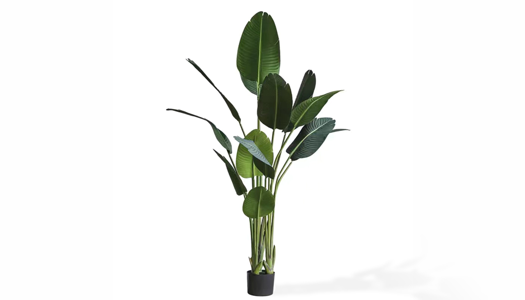 Artificial Plants