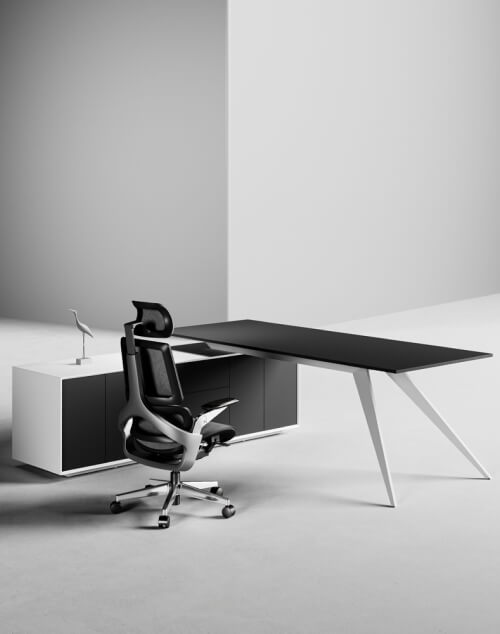 ACE Desk